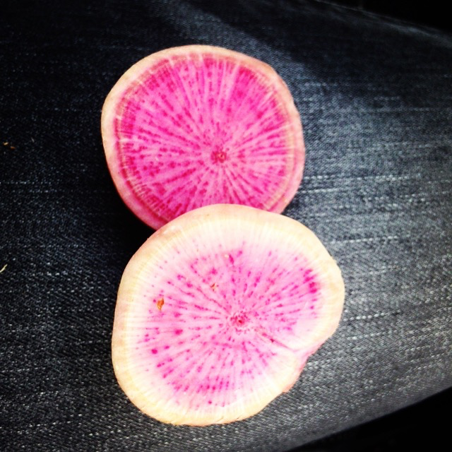 How beautiful are these locally-grown radishes from Marando Farms? Red on the inside, white on the outside! And they're they're a love letter to your liver, as well.